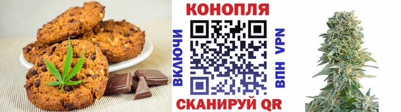 блэк спрут Лосино-Петровский Cannafood марихуана