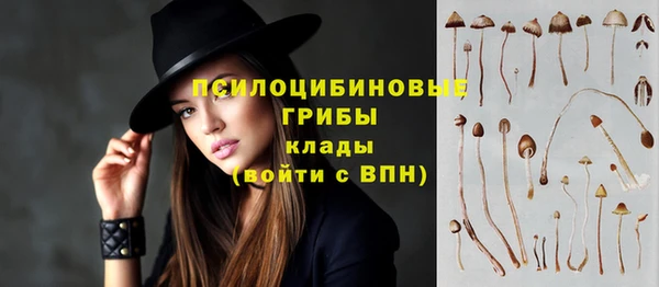 меф Дмитровск
